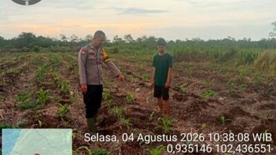 Polsek Tebing Tinggi Barat Lakukan Pembinaan Petani Jagung Manis Dukung Ketahanan Pangan