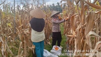 Dukung Ketahanan Pangan, Polsek Tebing Tinggi Barat Sulap Lahan Jadi Kebun Cabai Produktif
