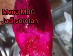Tiga Kali Menu MBG Dikeluhkan di SMAN 1 Tuhemberua: Ikan Lele Bau, Sayur Diduga Basi, Buah Naga Diduga Berulat