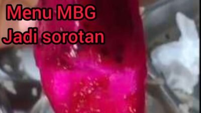 Tiga Kali Menu MBG Dikeluhkan di SMAN 1 Tuhemberua: Ikan Lele Bau, Sayur Diduga Basi, Buah Naga Diduga Berulat
