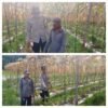 POLSEK TEBING TINGGI BARAT LAKUKAN PEMBINAAN PETANI DESA PADANG KAMAL.