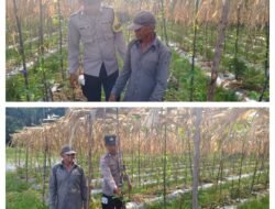 POLSEK TEBING TINGGI BARAT LAKUKAN PEMBINAAN PETANI DESA PADANG KAMAL.