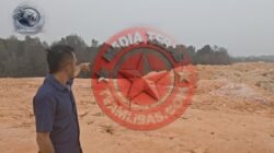 Diduga Timbun Hutan Lindung dan Rusak 5.500 Meter Persegi Mangrove di Batam, Tiga Perusahaan Disorot