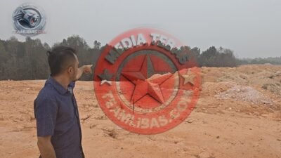 Diduga Timbun Hutan Lindung dan Rusak 5.500 Meter Persegi Mangrove di Batam, Tiga Perusahaan Disorot